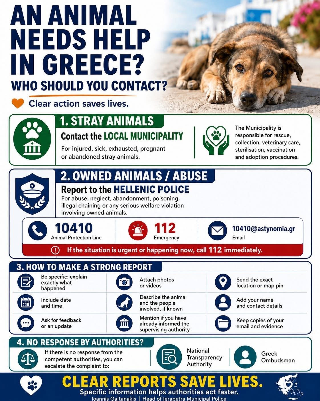 Infographic: who to contact if an animal needs help in Greece — municipality for strays, Hellenic Police (10410 / 112) for abuse, how to make a strong report, and where to escalate